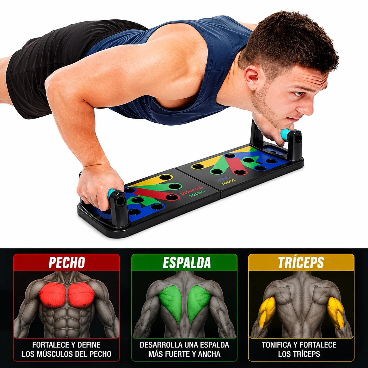TABLERO DE FLEXIONES Push up board